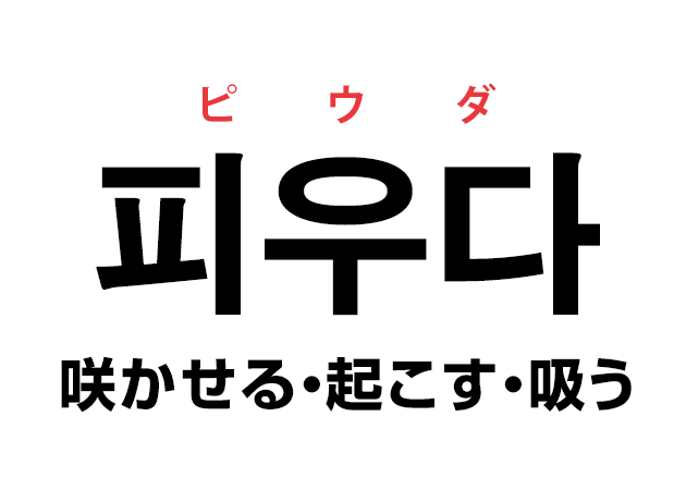 韓国語の 피우다 ピウダ 咲かせる 起こす 吸う を覚える ハングルノート