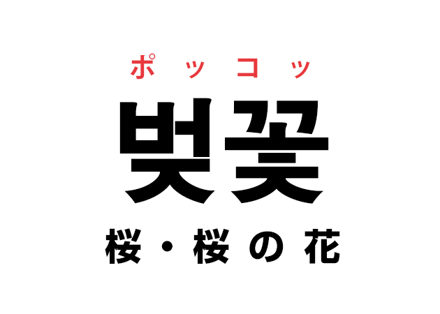 韓国語の 벚꽃 ポッコッ 桜 桜の花 を覚える ハングルノート